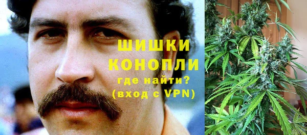 гашик Алексин