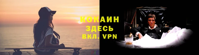 a pvp Аркадак