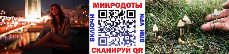 нарко площадка официальный сайт Кремёнки Галлюциногенные грибы Psilocybine cubensis